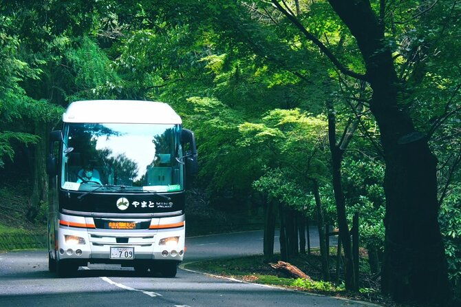 perfect-nara-park-half-day-bus-tour-with-english-speaking-guide