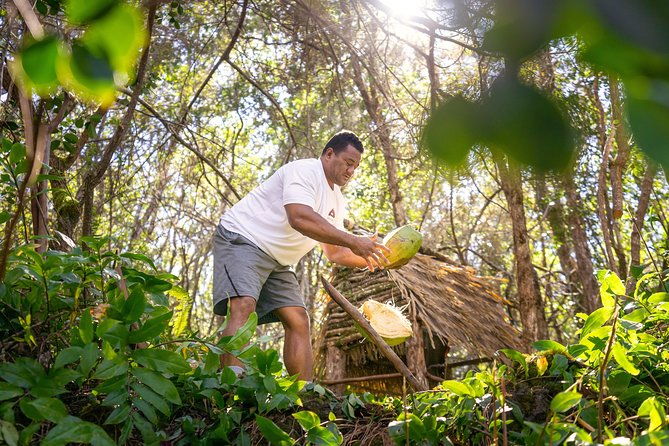 polynesian-cultural-atv-tour