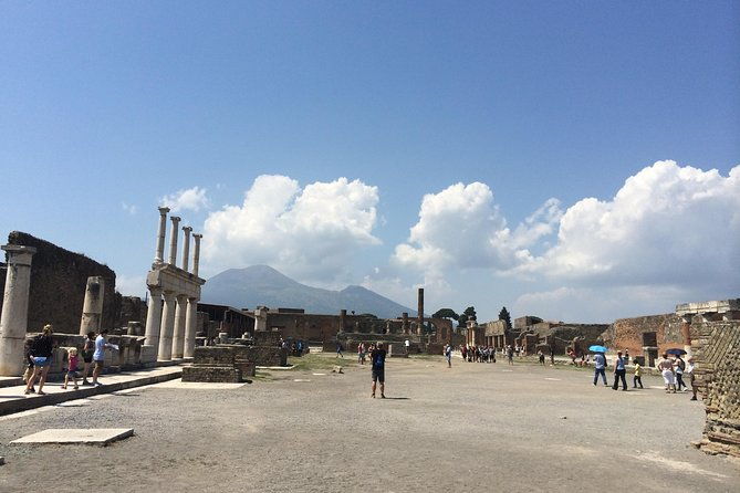 pompeii-wine-tasting-tour-from-sorrento-licensed-guide-included