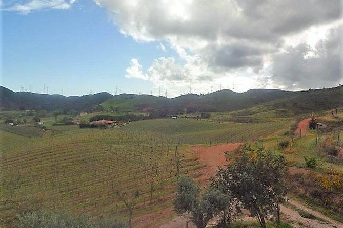 premium-gastronomic-mountain-tour-wine-olive-oil-spirits-food