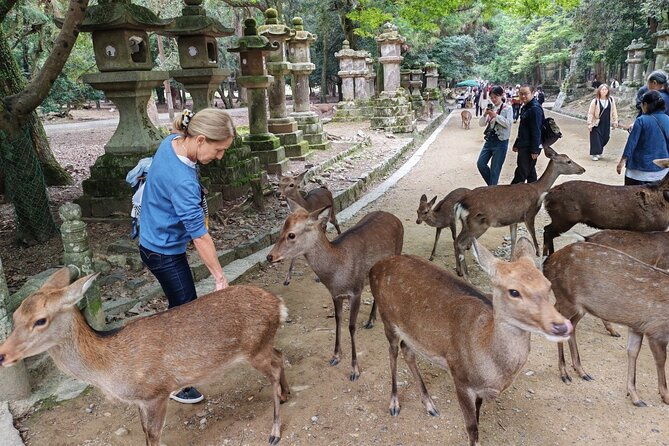 private-3-hour-unesco-heritage-sites-deer-park-tour