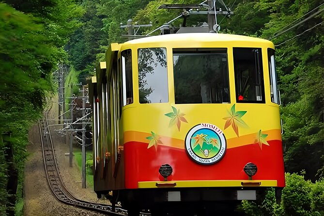 private-all-inclusive-family-tour-to-takao-mountain-with-prizes