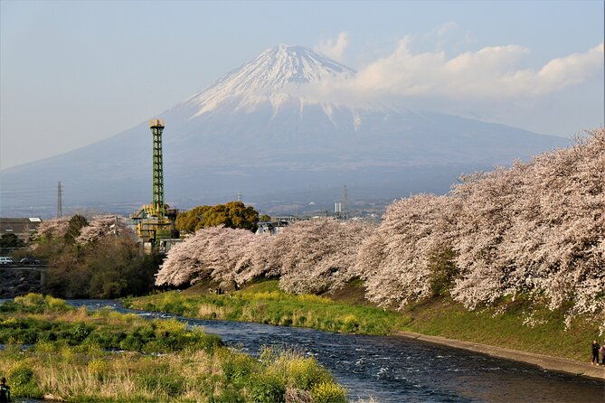 private-car-for-mt-fuji-5th-station-and-more-customizable