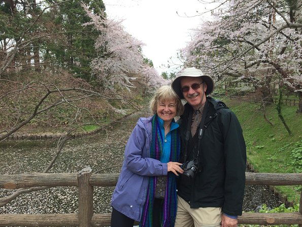 private-cherry-blossom-tour-in-hirosaki-with-a-local-guide