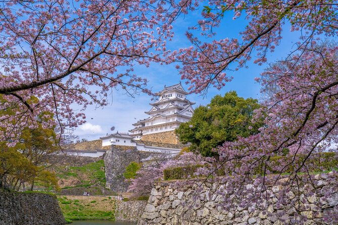 private-customize-tour-himeji-from-kyoto