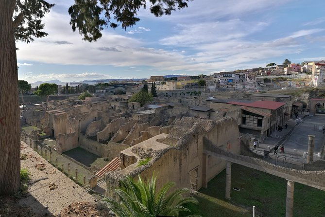 private-day-tour-to-vesuvius-herculaneum-pompeii-with-pick-up
