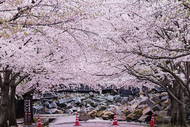 private-day-trip-to-kumamoto-asakura-from-fukuoka-with-minibus