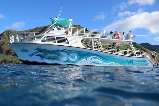 private-dolphin-swim-with-slide-for-up-to-15-passengers