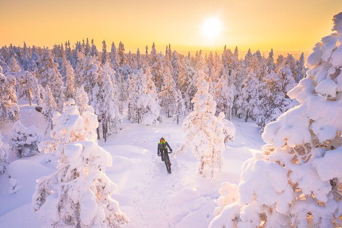 private-electric-fat-bike-winter-tour-in-rovaniemi