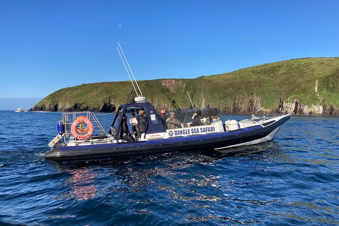 private-family-sea-safari