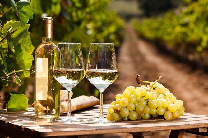 private-frascati-day-trip-with-lunch-wine-tasting-in-a-vineyard