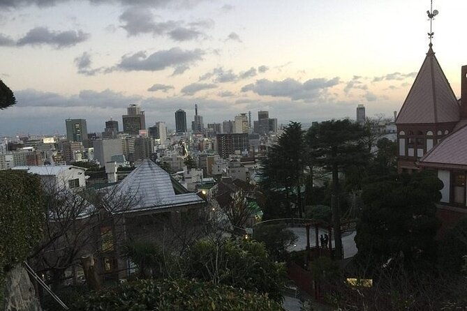 private-full-day-guided-tour-of-himeji-and-kobe