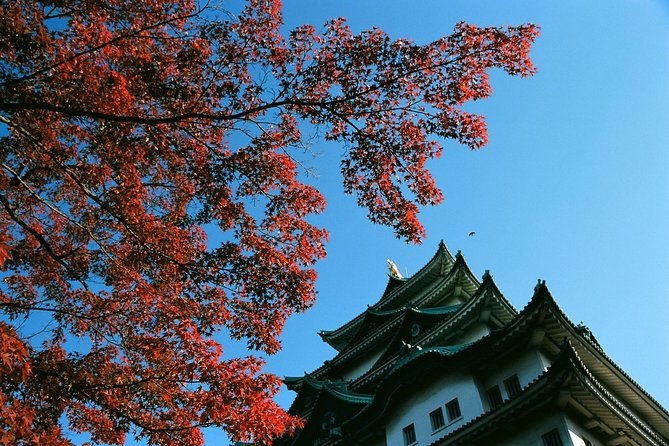 private-full-day-nagoya-tour