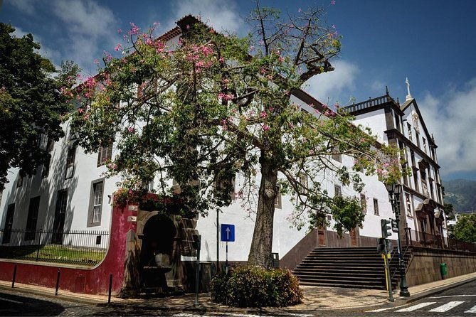 private-funchal-city-tour-by-tukxi