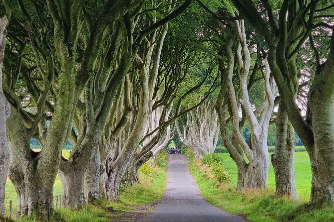 private-giants-causeway-express-tour