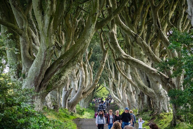 private-giants-causeway-tour-from-belfast