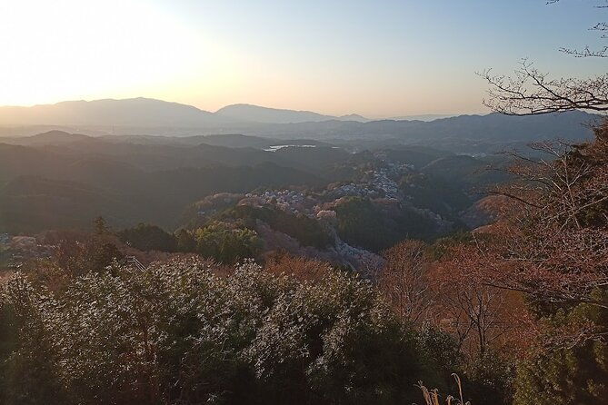 private-guided-half-day-walking-tour-in-yoshinoyama