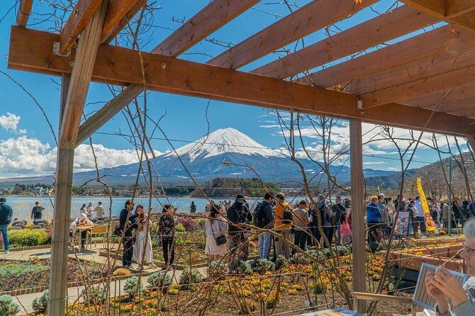 private-guided-tour-at-mount-fuji-majesty