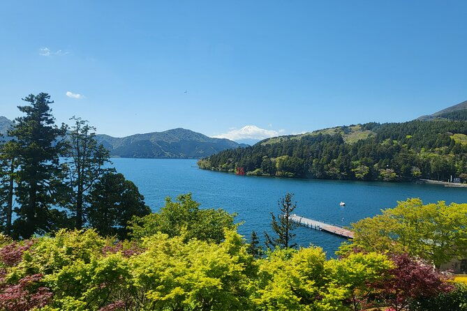 private-hakone-tour-from-tokyo