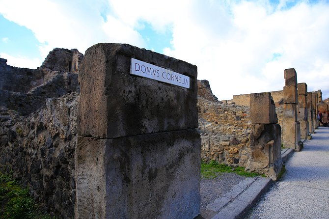 private-half-day-tour-of-the-pompeii-ruins-highlights-and-mann