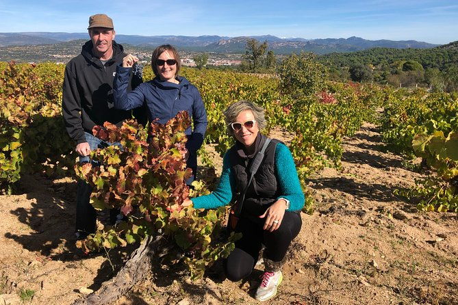 private-half-day-wine-tour-near-madrid-rated-unique-and-personalized