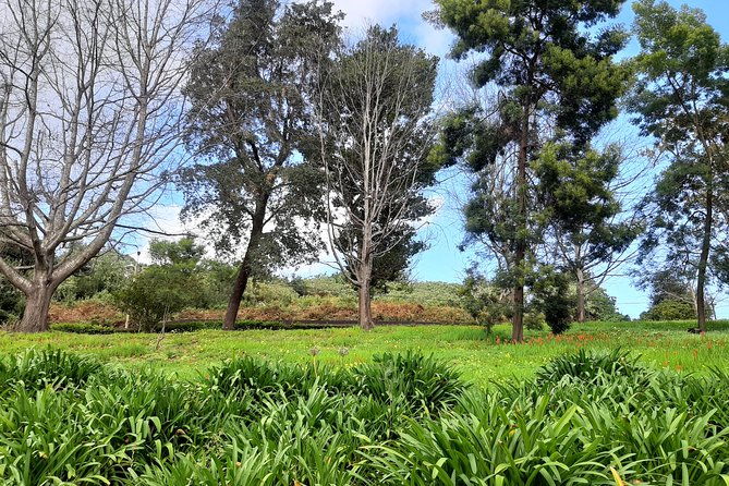 private-halfday-flower-palheiro-gardens-tour