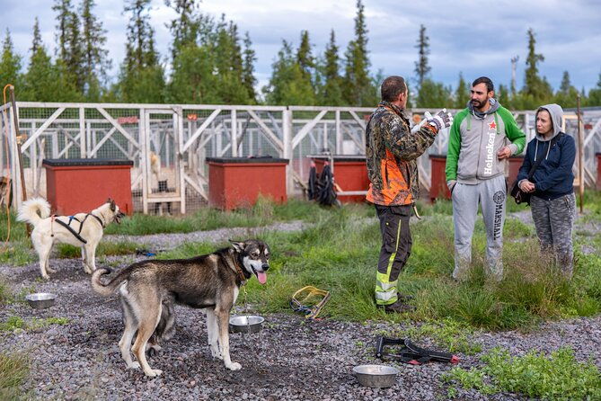 private-kennel-visit-and-atv-tour-with-the-huskies