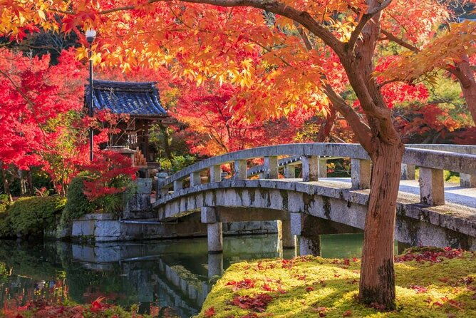 private-kyoto-customizable-day-tour-with-guide-luxury-vehicle