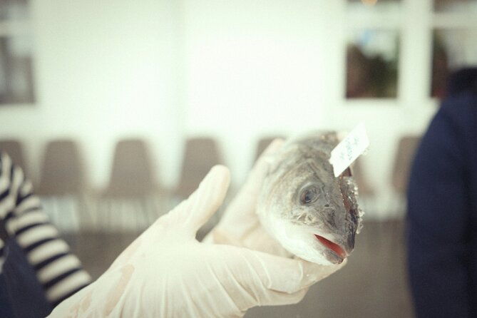 private-mediterranean-fish-cooking-workshop-with-irena