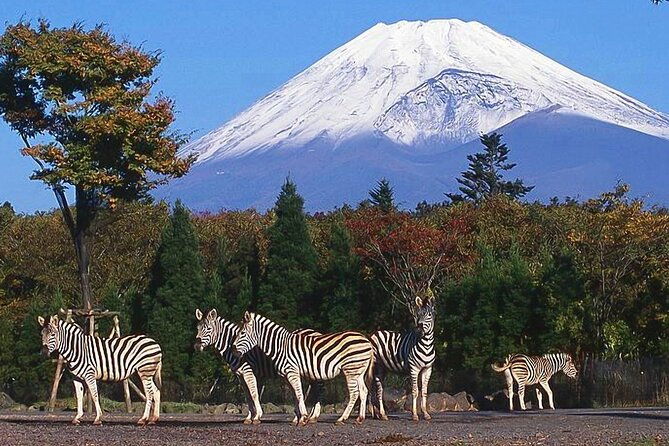 private-mount-fuji-and-hakone-city-tour-from-tokyo