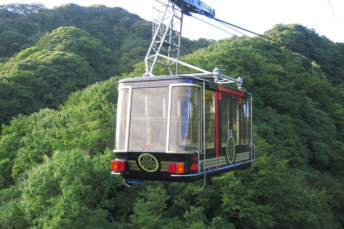 private-sightseeing-tour-from-shimizu-port-small-bus