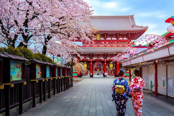 private-tailored-tour-with-local-guide-in-tokyo
