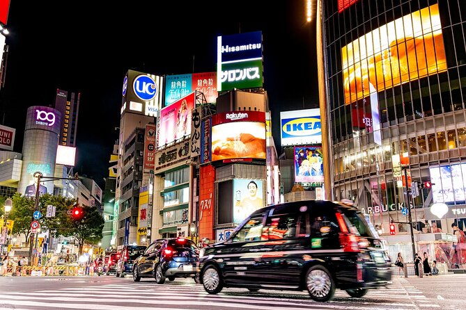 private-tokyo-culture-tour-by-car