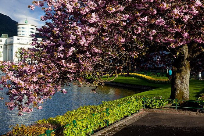 private-tour-bergen-city-sightseeing-5-hours