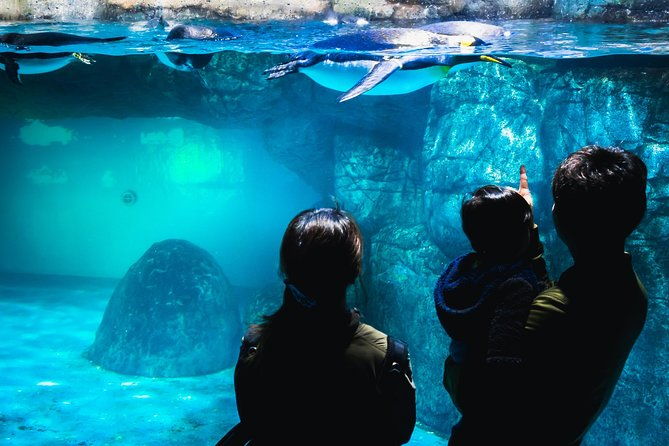 private-tour-guide-yokohama-with-a-local-kickstart-your-trip-personalized