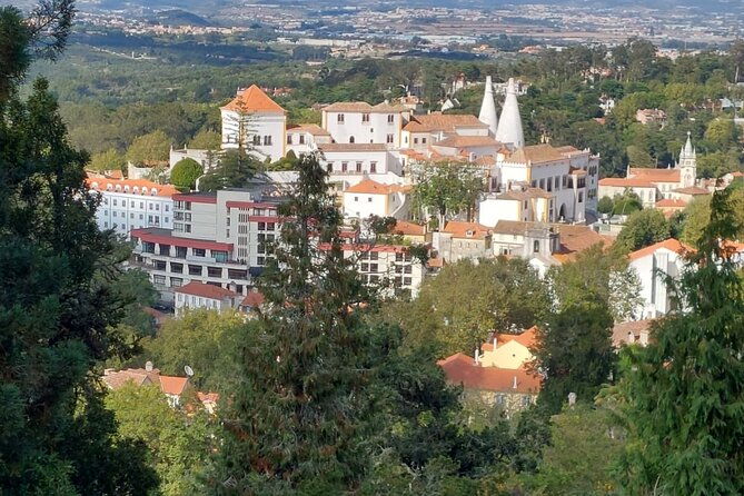 private-tour-sintra-palaces-and-mountain-tuk-tuk2-to-6-people