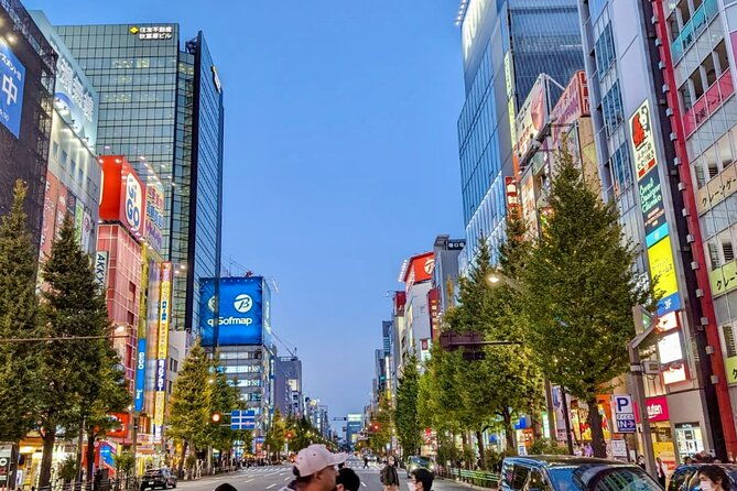 private-tour-tokyo-otaku-visit-places-on-anime-and-manga