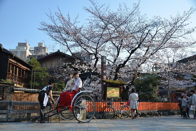 private-unique-kyoto-cherry-blossom-sakura-experience