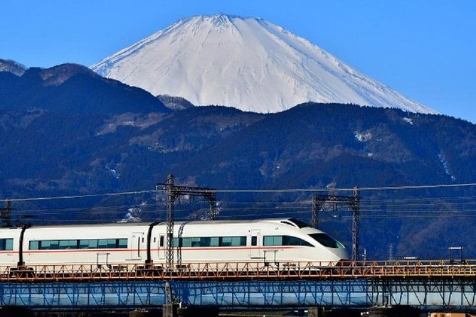 private-walking-tour-of-hakone-price-per-group