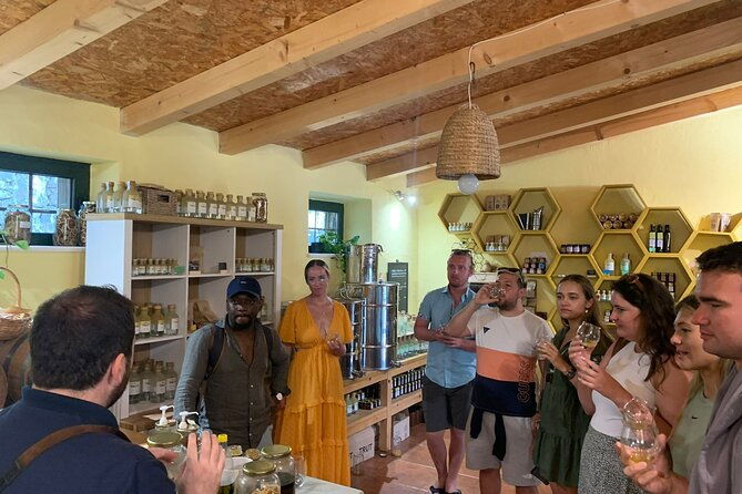 private-wine-and-gin-tour-around-the-island-of-korcula