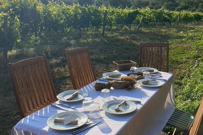 private-wine-tasting-tour-around-ile-rousse-and-calvi