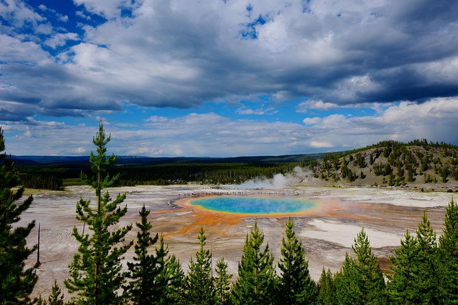 private-yellowstone-tour-iconic-sites-wildlife-family-friendly-hikes-lunch