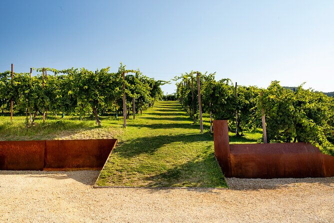 prosecco-tasting-appetizers-and-tour-of-the-cellar-and-vineyards