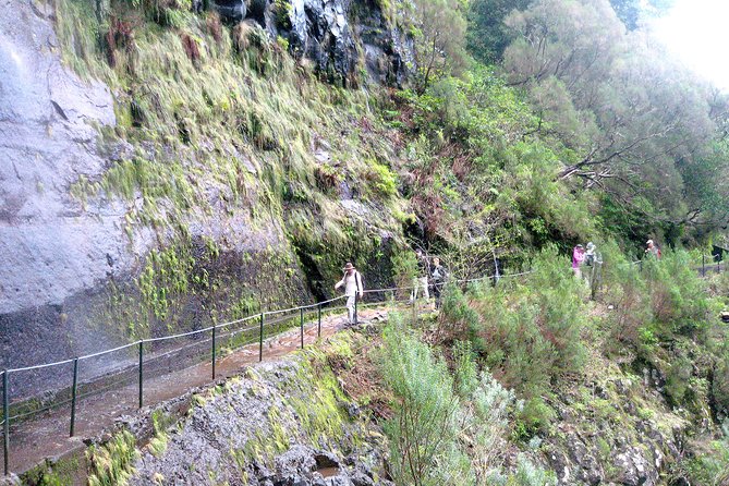 rabacal-risco-25-sources-levada-walk