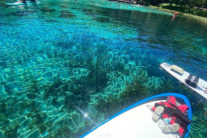 rainbow-springs-electric-paddle-tour