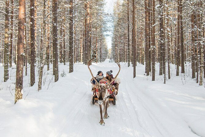 reindeer-safari-in-arctic-wilderness