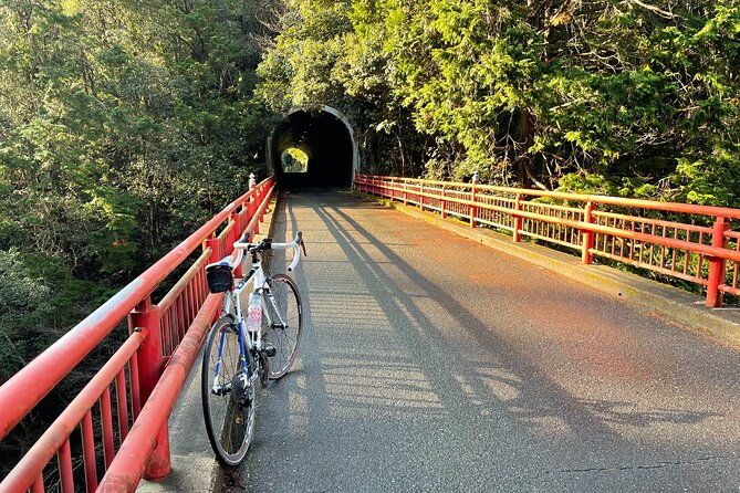 rent-a-road-bike-to-explore-kyoto-and-beyond