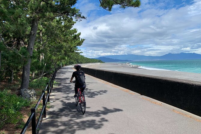 rental-hybrid-bikes-at-shizuoka-station-24-gears-not-e-bikes