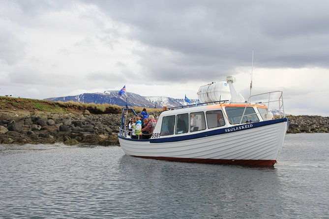 reykjavik-shore-excursion-puffin-sightseeing-cruise