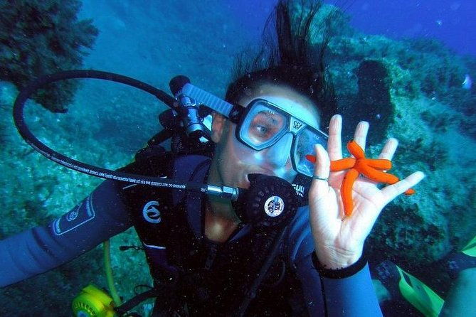 rhodes-scuba-diving-experience